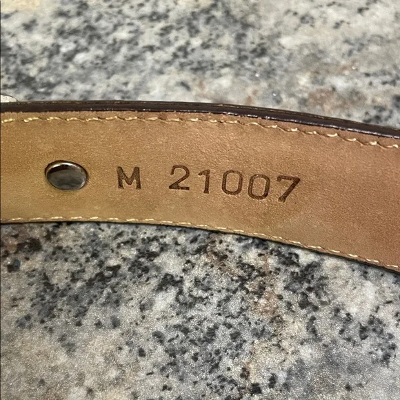 Brown Leather Belt with Silver and Gold Accents - Picture 5 of 9